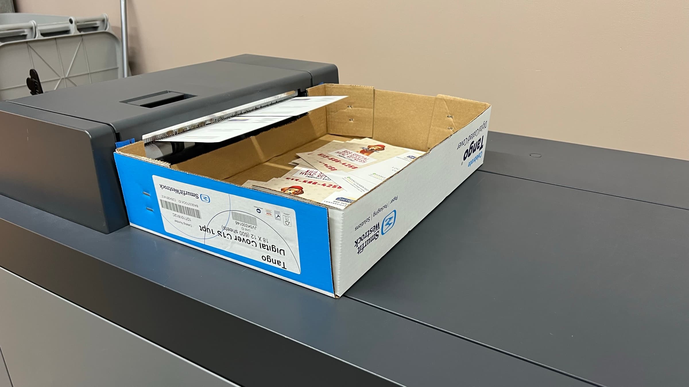 Printed postcards feeding out of the finisher into a box