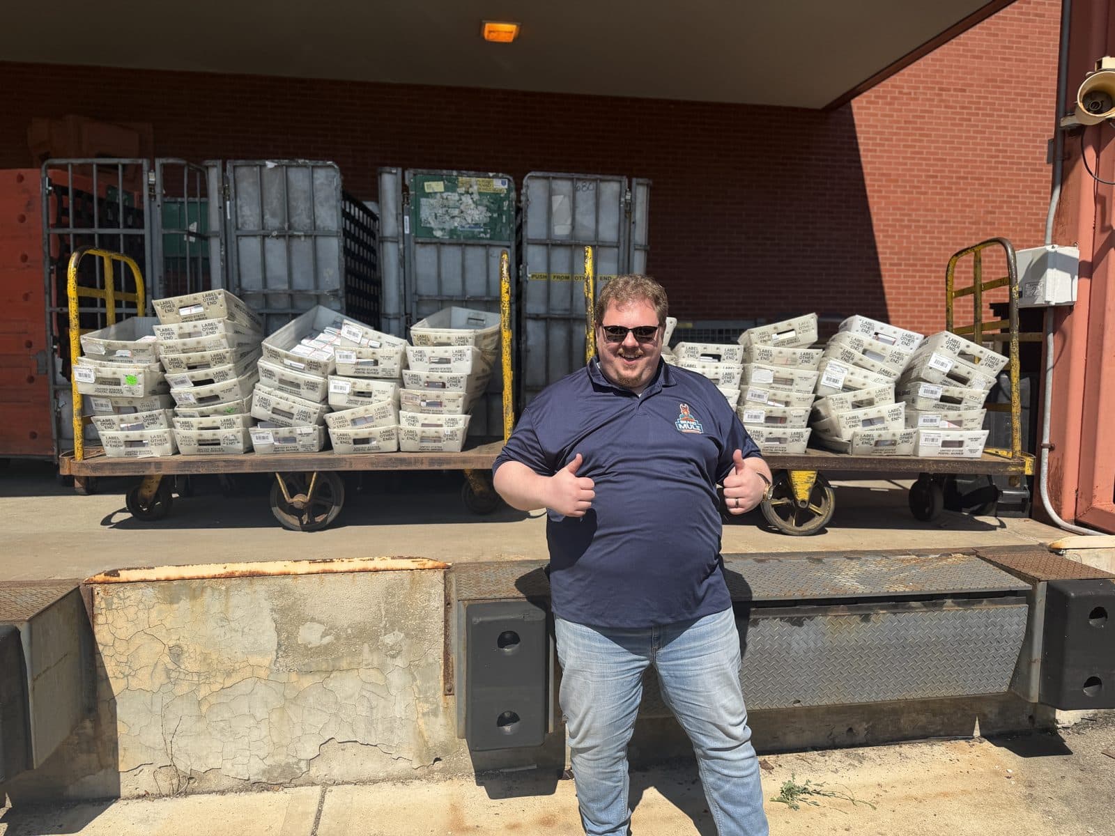 Buddy at the loading dock in front of two carts stacked with USPS trays of postcards, ready to go out