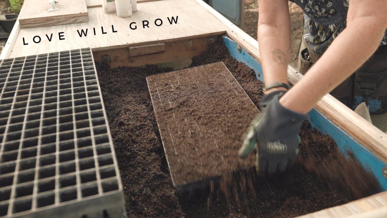 A gloved hand spreading soil over a seed tray in a wooden bed stamped "Love Will Grow"